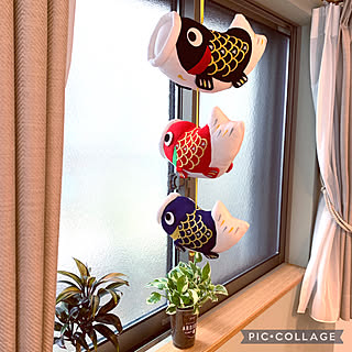 壁 天井 ちりめん細工の鯉のぼりのインテリア実例 Roomclip ルームクリップ 壁 天井 ちりめん細工の鯉のぼりのインテリア実例 Roomclip ルームクリップ