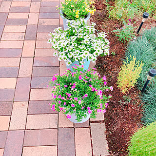 サントリーフラワーズのインテリア実例 Roomclip ルームクリップ