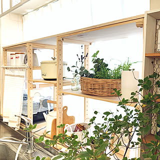 キッチンの出窓/くらしのeショップモニター/山善/キャセロール/二世帯住宅の二階...などのインテリア実例 - 2019-10-05 08:26:58