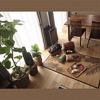リビング/上から目線で!picの事よ!(笑)/皆様にもオススメ!ベラ様のお墨付き!/趣味の時間!/観葉植物のある暮らし...などのインテリア実例 - 2017-04-24 14:34:35