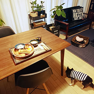 ベッド周り/ウンベラータ/男前インテリア/鉢カバーDIY /犬と暮らす家...などのインテリア実例 - 2020-02-22 08:29:12