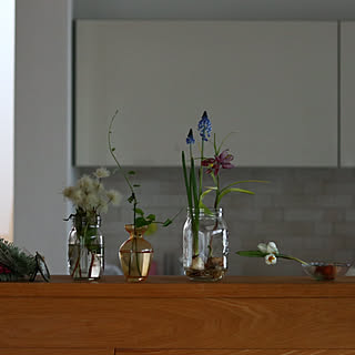 キッチン/ナチュラル/花のある暮らし/戸建て/無垢材...などのインテリア実例 - 2020-01-24 17:02:36