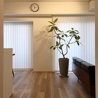 バーチカルブラインド 西海岸のインテリア実例 Roomclip ルームクリップ