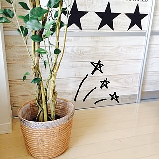 リビング/朝の1枚/似たような写真ですみません/ニューフィカス/シンプルに...などのインテリア実例 - 2015-08-11 08:23:38
