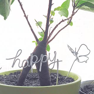 机/ワイヤーアート/ワイヤークラフト/ダイソー/同じような写真ですみません(;゚ェ゚;)...などのインテリア実例 - 2014-08-20 08:30:06