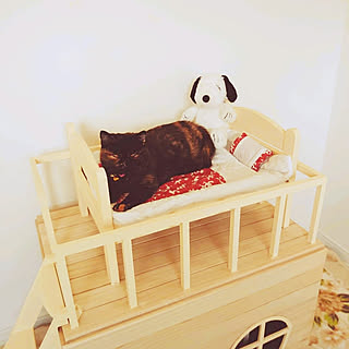 ベッド周り/猫と暮らす/シャビーシック/ナチュラル/ホワイトナチュラル...などのインテリア実例 - 2020-02-25 00:13:34