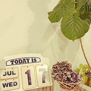 リビング/飾り棚/革小物/かご収納/三階建て...などのインテリア実例 - 2019-07-17 20:04:25