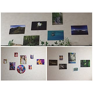 壁 天井 蜷川実花のインテリア実例 Roomclip ルームクリップ