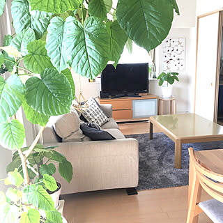 癒しの空間/いいね、フォロー本当に感謝です♡/いつもいいねやコメントありがとう♡♪/北欧/北欧インテリア...などのインテリア実例 - 2019-11-07 09:02:31