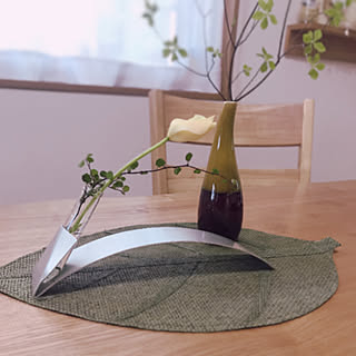 観葉植物 ワイヤープランツ水挿しのインテリア実例 Roomclip ルームクリップ