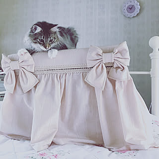 机/茶箱/カルトナージュ ボックス/カルトナージュ/愛猫...などのインテリア実例 - 2017-08-12 22:00:16