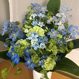 水色の花のインテリア実例 Roomclip ルームクリップ