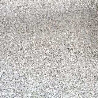 外壁 吹き付けのインテリア実例 Roomclip ルームクリップ