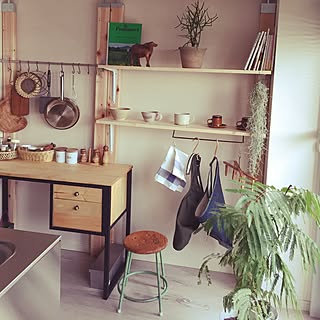 キッチン/観葉植物/DIY/見せる収納/エアープランツ...などのインテリア実例 - 2016-08-05 12:03:10