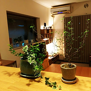E 花屋さん プランター 植木鉢のおすすめ家具 インテリア 全44件 Roomclip ルームクリップ