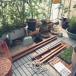 ベッド周り/飾るように暮らす/トケイソウ/緑のカーテン/セダムなぜ枯れる?...などのインテリア実例 - 2016-07-29 11:05:59