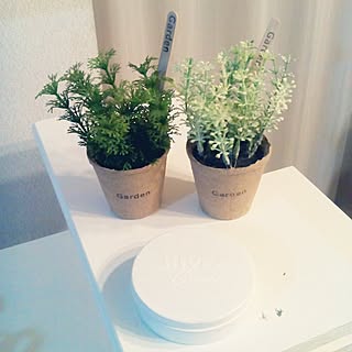 NIVEA♥/フェイクグリーン♥/アイス棒 お気に入り♪。.:*・゜/ニベア缶、見づらいー♥/★ホットユーザー⇒Thank you!★...などのインテリア実例 - 2017-05-25 20:37:41