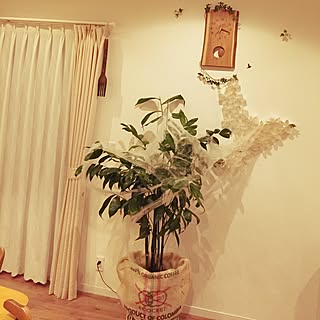 セリア 麻袋の鉢カバーのインテリア実例 Roomclip ルームクリップ