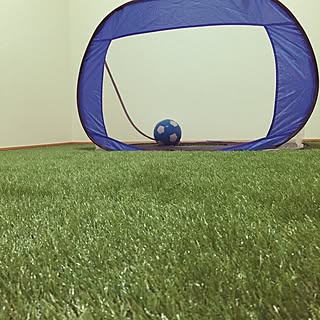 人工芝 サッカーゴールのインテリア実例 Roomclip ルームクリップ