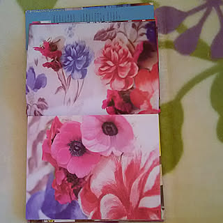 部屋全体/トリシア・ギルドが好き/季節の飾り/お花のある暮らし/アネモネだいすき...などのインテリア実例 - 2018-02-03 15:36:54