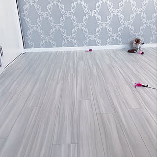 壁紙 三毛猫のインテリア実例 Roomclip ルームクリップ 壁紙 三毛猫のインテリア実例 Roomclip ルームクリップ