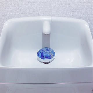 バス トイレ ブルーレットおくだけのインテリア実例 Roomclip ルームクリップ