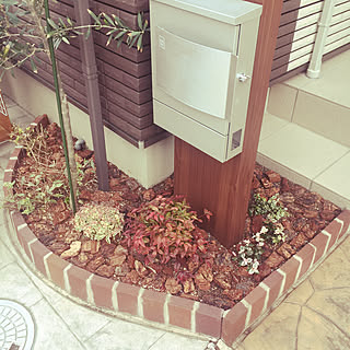 花壇 ハツユキカズラのインテリア実例 Roomclip ルームクリップ