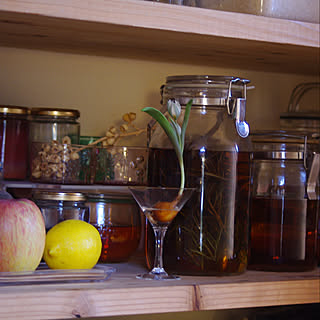 Other、家族住まいの「棚」についてのインテリア実例