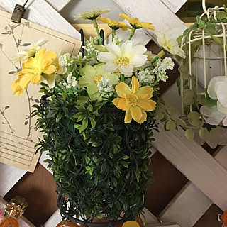 セリア ハンギングバスケット セリアのインテリア実例 Roomclip ルームクリップ