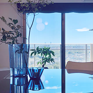 ブルーベリーの枝のインテリア実例 Roomclip ルームクリップ