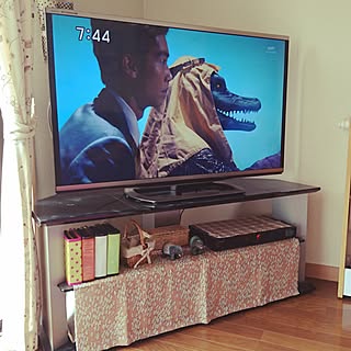 テレビ 46型TVのおしゃれなアレンジ・飾り方のインテリア実例