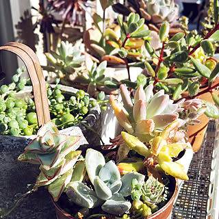 女性の、Other、家族住まいの「玄関/入り口」についてのインテリア実例