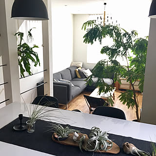 リビング/注文住宅/いつもいいね！ありがとうございます♪/三階建て/ナラ無垢床...などのインテリア実例 - 2018-08-28 12:35:05