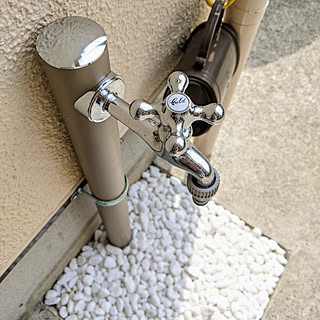 ダイソー 水苔のまとめページ Roomclip ルームクリップ ダイソー 水苔のまとめページ Roomclip ルームクリップ