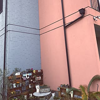 部屋全体/我が家の外壁/パレットガーデニングDIY/パレットはただ♪/ブライワックス ジャコビアン...などのインテリア実例 - 2017-02-18 12:02:27