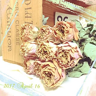 バス/トイレ/ワインの木箱/カメラマーク消し/花のある暮らし/お花大好き❁❀✿✾...などのインテリア実例 - 2017-04-16 21:01:02