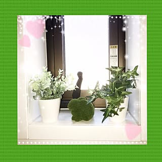 バス/トイレ/癒しの場所/苔玉風ウサギちゃん/100均フェイクグリーン/お風呂場にグリーンを!...などのインテリア実例 - 2017-03-07 13:36:50