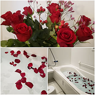 バラ風呂のインテリア実例 Roomclip ルームクリップ