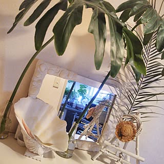 玄関/入り口/セローム/フェニックスロべレニー/世界にひとつだけ/LEDライト/南欧風...などのインテリア実例 - 2017-07-17 18:48:06