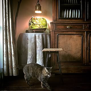バス/トイレ/植物/アンティーク/アクアリウム/フランスアンティーク...などのインテリア実例 - 2015-11-22 20:58:54