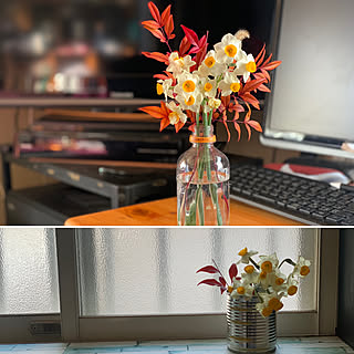 花瓶がないのインテリア実例 Roomclip ルームクリップ