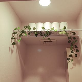 バス/トイレ/おしゃれな家にしたい/DIY初心者/海外インテリアに憧れる/雑貨...などのインテリア実例 - 2017-05-24 22:39:08