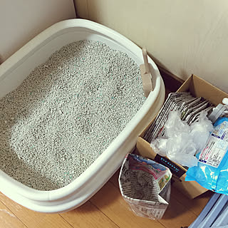 100均 猫砂の商品を使ったおしゃれなインテリア実例 Roomclip ルームクリップ