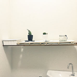 トイレのディスプレイ/サボテン/ぱわーすとーん/つっばり棒/一人暮らし...などのインテリア実例 - 2020-01-22 22:25:11