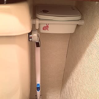 100均 トイレクイックルのインテリア実例 Roomclip ルームクリップ