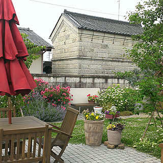 バラ 鉢植えのおしゃれなアレンジ 飾り方のインテリア実例 Roomclip ルームクリップ