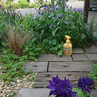 庭仕事 ロハピのインテリア実例 Roomclip ルームクリップ 庭仕事 ロハピのインテリア実例 Roomclip ルームクリップ