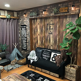 部屋全体/ふりかけ♀/ペットテント/KOMERI/うさぎと暮らす...などのインテリア実例 - 2019-02-21 18:08:45