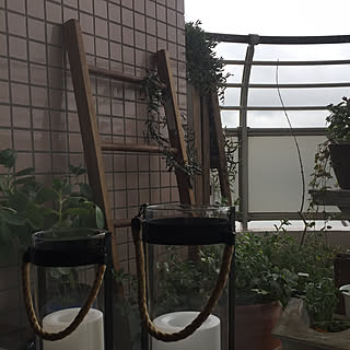 ニトリ ベランダ 目隠しののまとめページ 11ページ目 Roomclip ルームクリップ ニトリ ベランダ 目隠しののまとめページ 11ページ目 Roomclip ルームクリップ