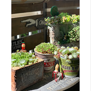 落花生アートのインテリア実例 Roomclip ルームクリップ